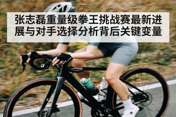 张志磊重量级拳王挑战赛最新进展与对手选择分析背后关键变量